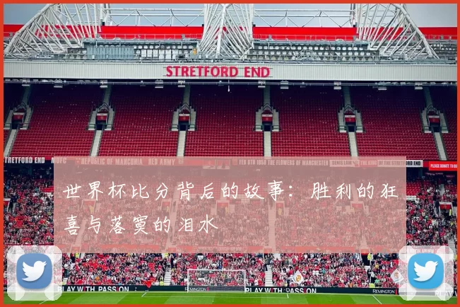 世界杯比分背后的故事:胜利的狂喜与落寞的泪水