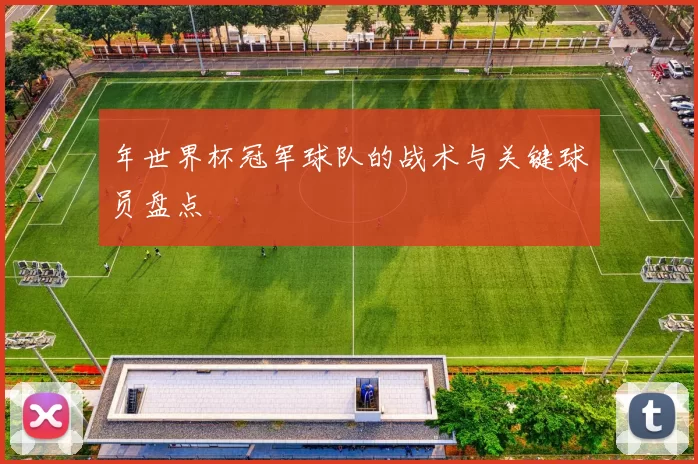年世界杯冠军球队的战术与关键球员盘点