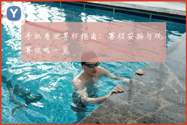 手机看世界杯指南：赛程安排与观赛攻略一览