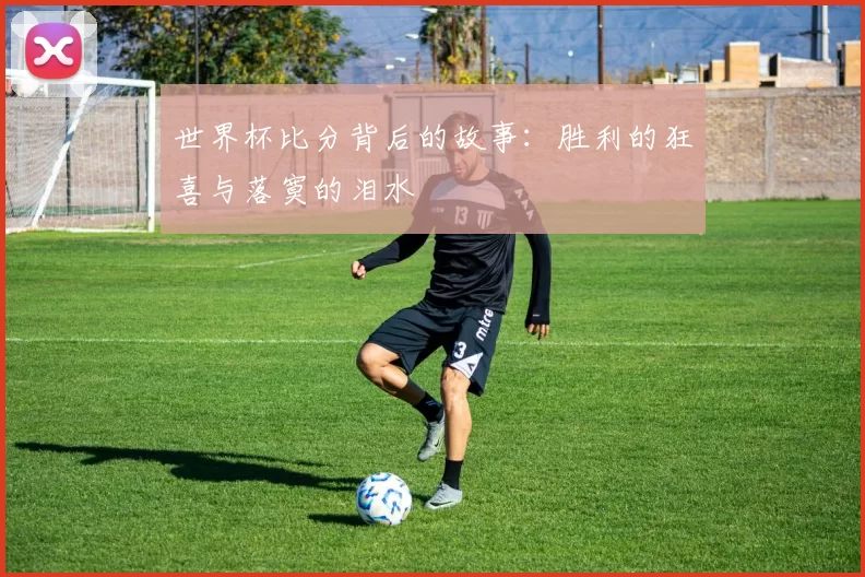 世界杯比分背后的故事:胜利的狂喜与落寞的泪水