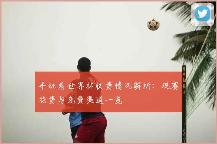 手机看世界杯收费情况解析:观赛花费与免费渠道一览