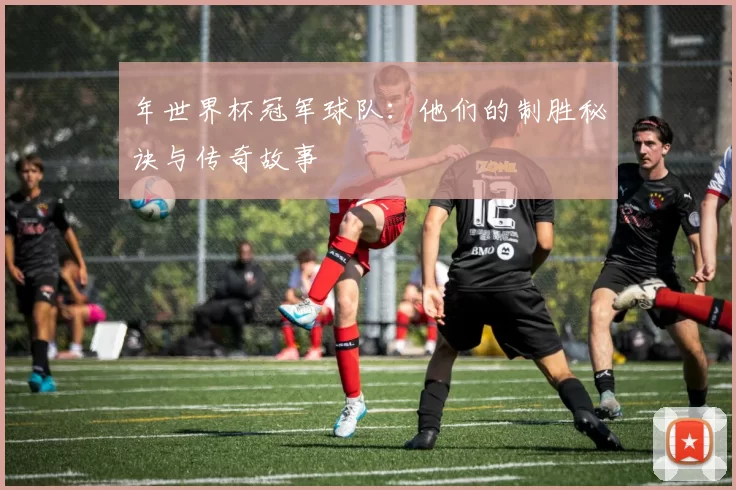 年世界杯冠军球队：他们的制胜秘诀与传奇故事