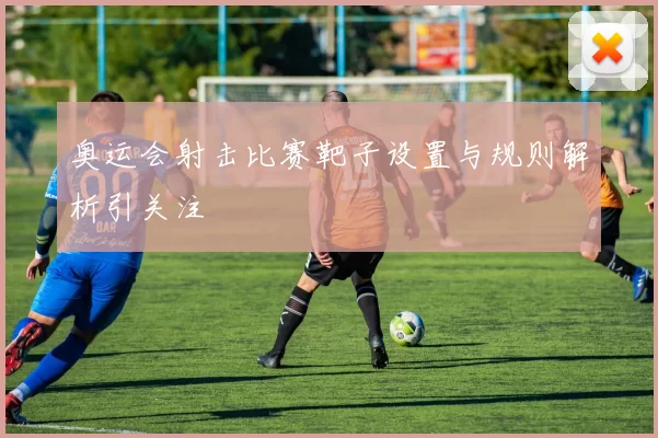 奥运会射击比赛靶子设置与规则解析引关注