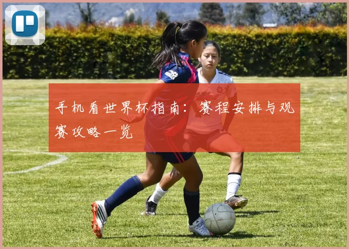 手机看世界杯指南：赛程安排与观赛攻略一览